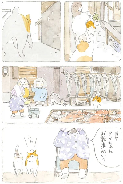 おやタマちゃん
