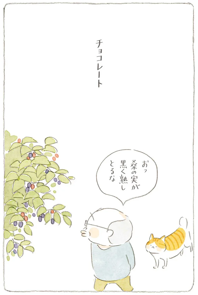 『ねことじいちゃん6』より