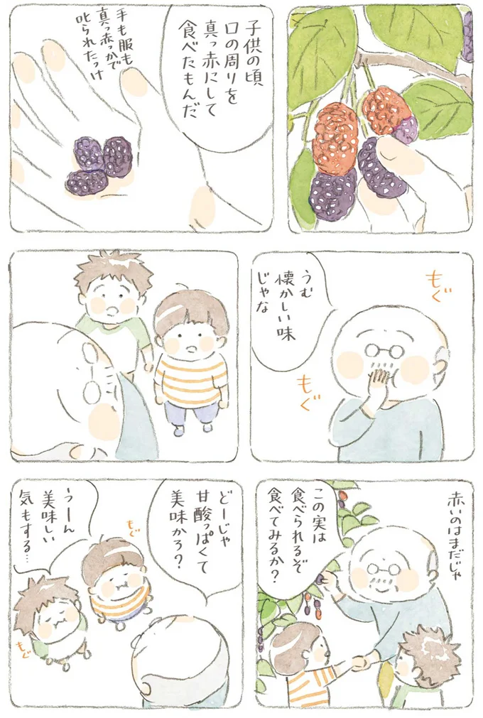 『ねことじいちゃん6』より