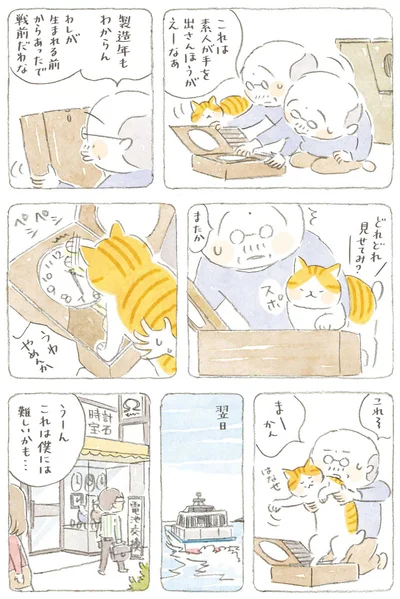 『ねことじいちゃん6』より