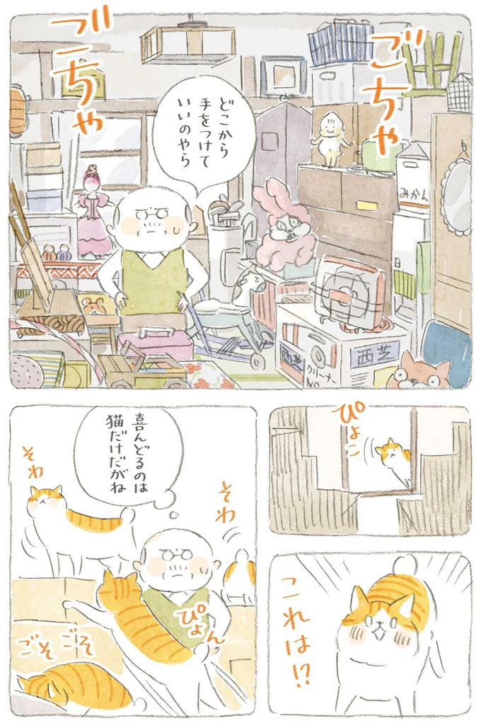 どこから手をつけていいのやら