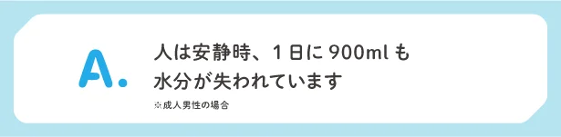 人は安静時、1日に900mlも水分が失われています（成人男性の場合）