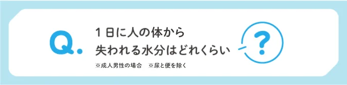 1日に人の体から失われる水分はどれくらい？（成人男性の場合。尿や便は除く）