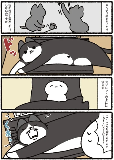 『あっち こっち ネッチ！』より