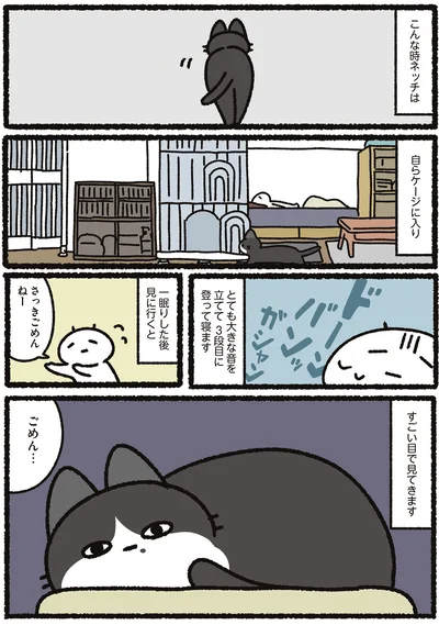 『あっち こっち ネッチ！』より