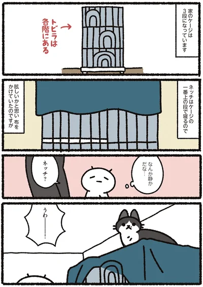 『あっち こっち ネッチ！』より