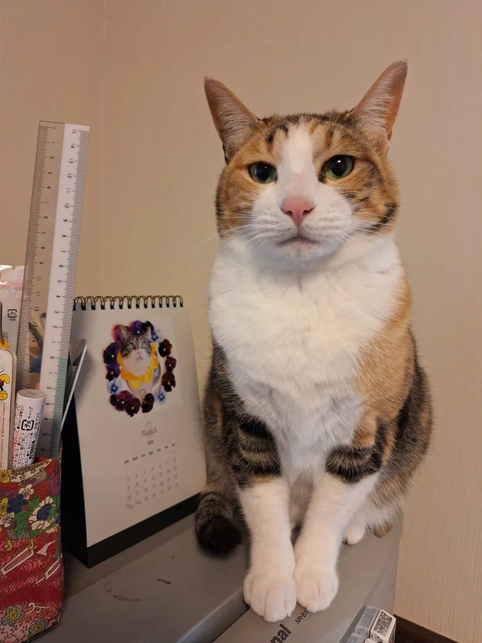 実はおてんばなすしみちゃん▶全員大集合！（⇒次へ）