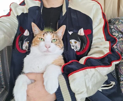 スカジャンと同じ表情⁉▶今日のごはんは…（⇒次へ）