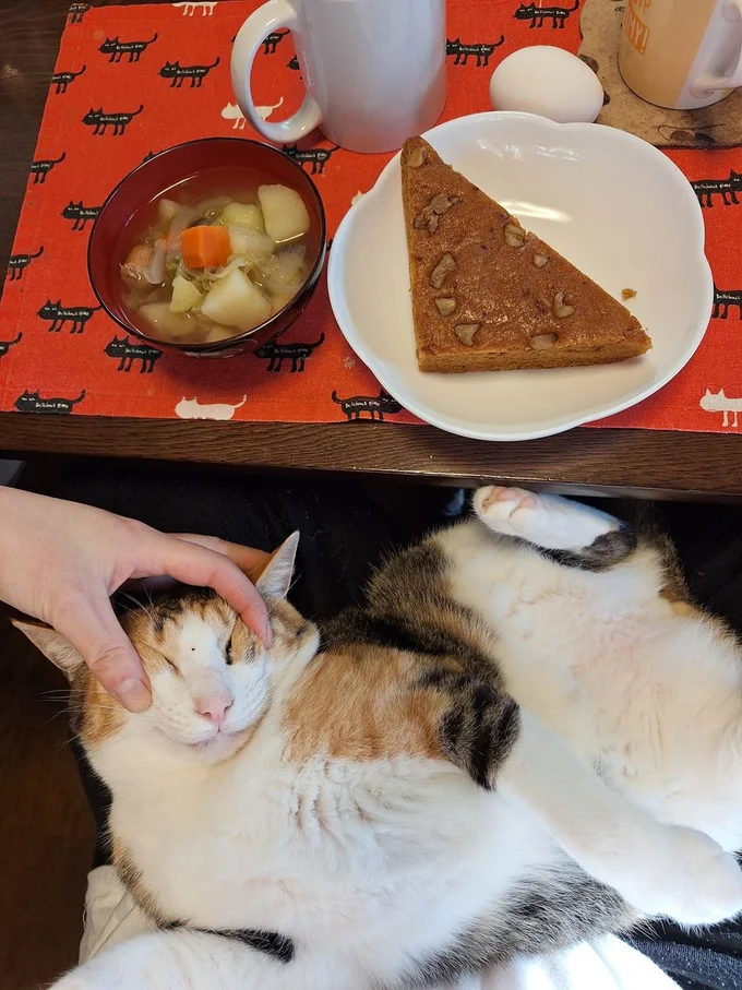 三角蒸しパンとポトフたべました▶すしみちゃん×食事紹介（⇒次へ）