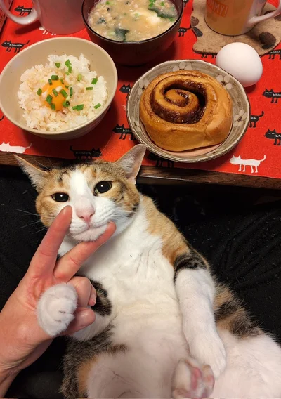 たまごかけごはんとシナモンロールたべました▶たまには、にこちゃんも！（⇒次へ）