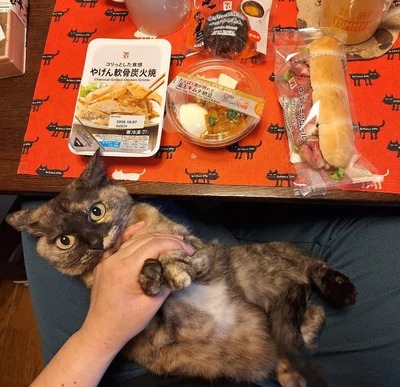 温玉キムチ納豆ローストビーフロールたべました▶はちゃめちゃんも、登場！（⇒次へ）