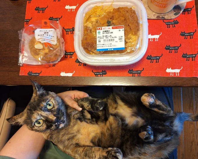 ロースカツ丼とシュークリームたべました▶（次画像からは『あっち こっち ネッチ！』が読めます）