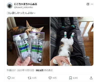 コンビニ限定の人気商品をGET！▶これはネコ用ですか？（⇒次へ）