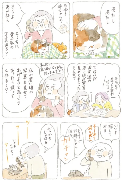 『ねことじいちゃん7』より