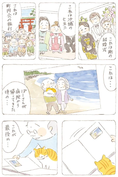 『ねことじいちゃん7』より