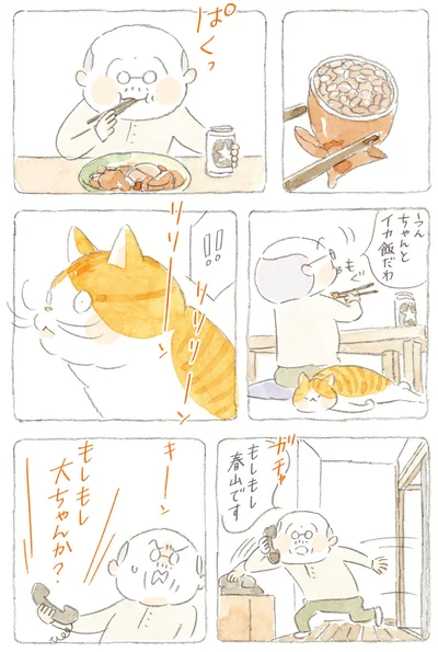 うん　ちゃんとイカ飯だわ