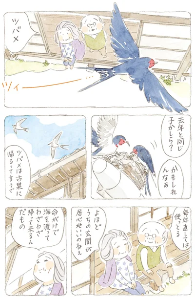 よほどうちの玄関が居心地いいのねぇ