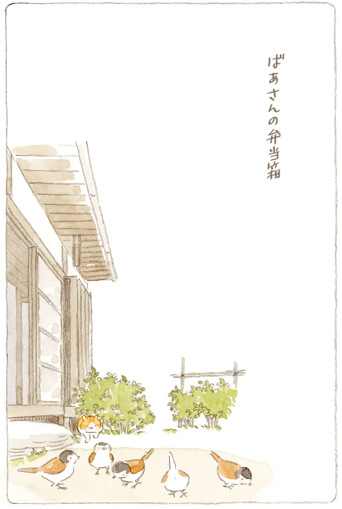 『ねことじいちゃん8』より