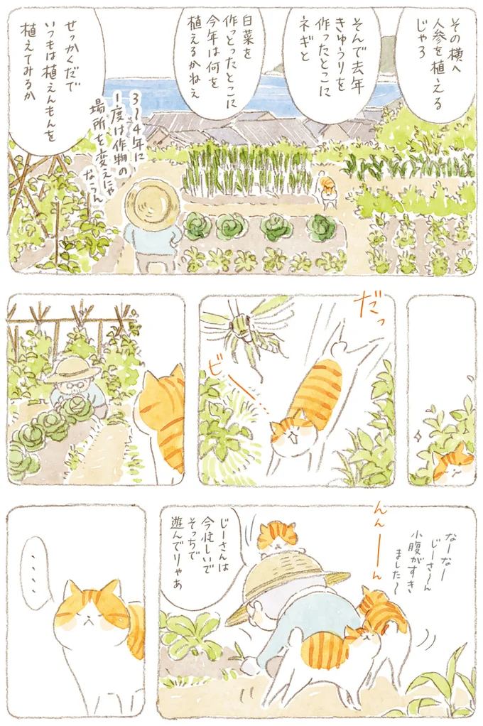 『ねことじいちゃん8』より