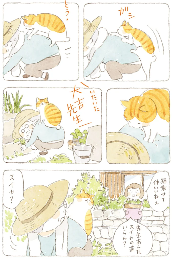 『ねことじいちゃん8』より