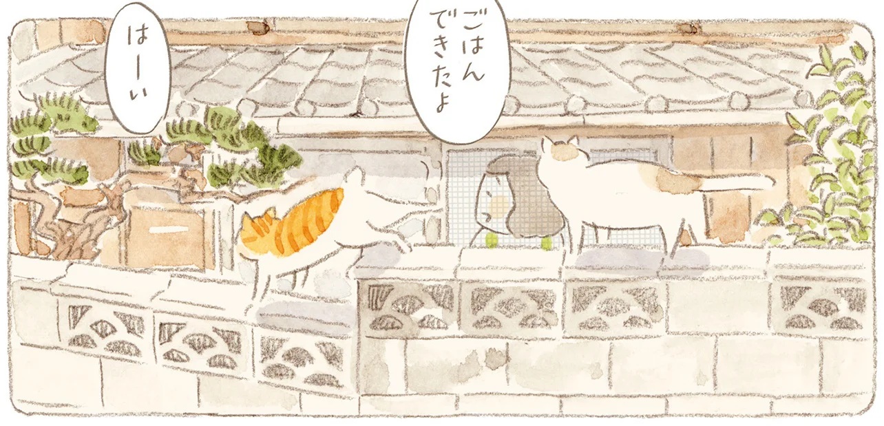 そろそろ夕食。夕焼けに包まれた島内を、ゆっくり家路へ向かう猫たち
