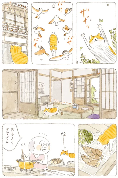 おはようタマさん