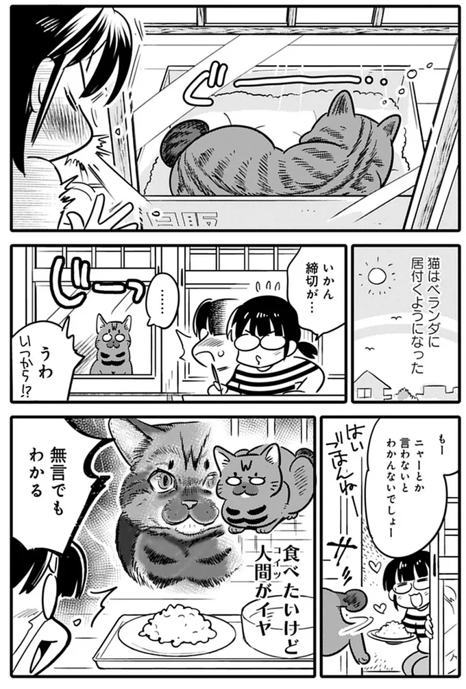 『ブリちゃん日記 猫なら産みたい』より