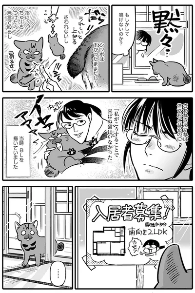 『ブリちゃん日記 猫なら産みたい』より
