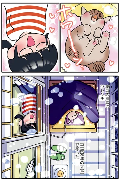 『ブリちゃん日記 猫なら産みたい』より