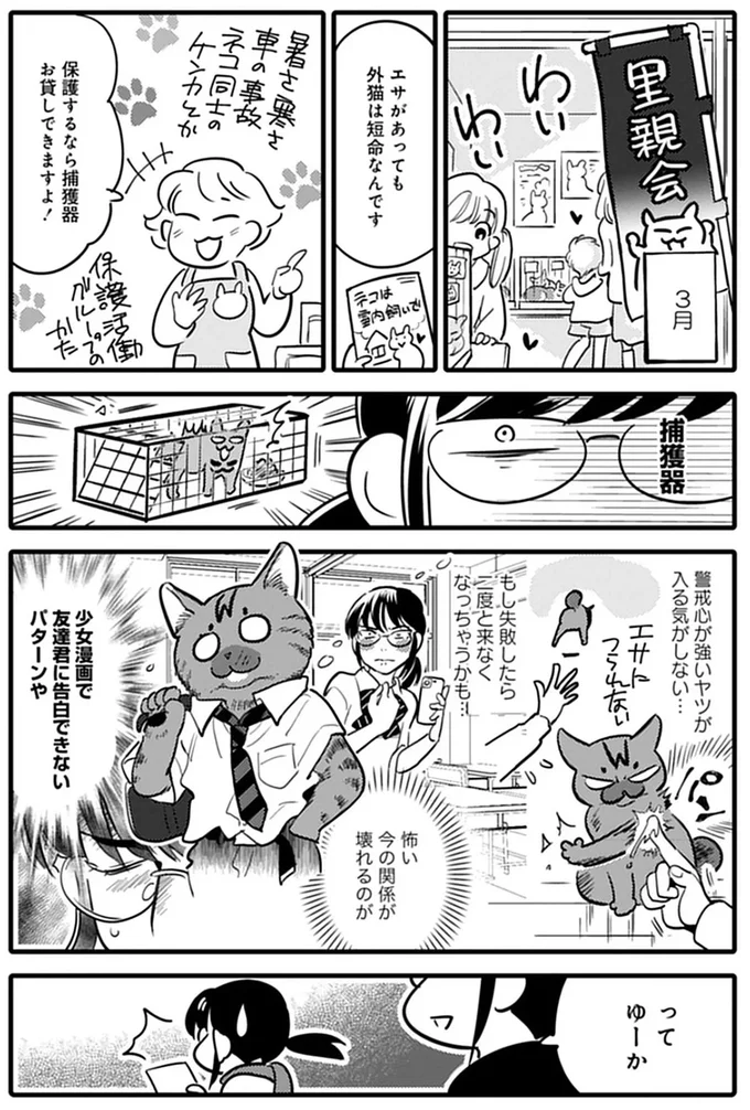 『ブリちゃん日記 猫なら産みたい』より
