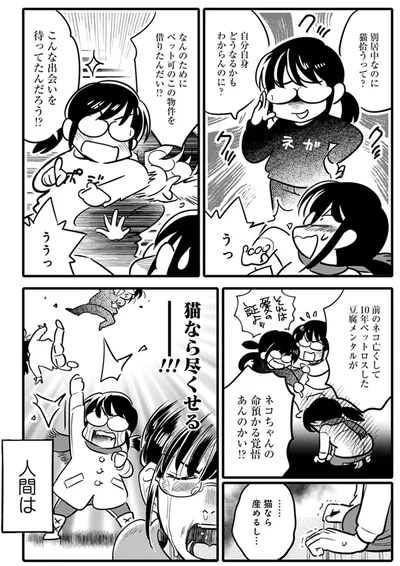 『ブリちゃん日記 猫なら産みたい』より