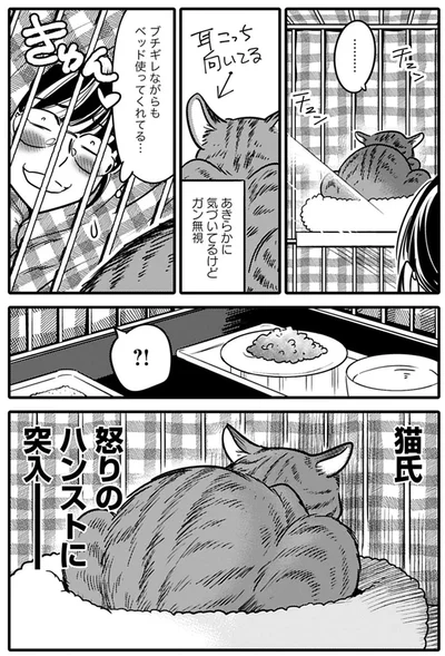 『ブリちゃん日記 猫なら産みたい』より