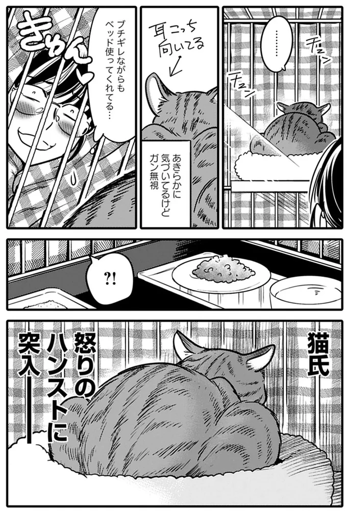 『ブリちゃん日記 猫なら産みたい』より