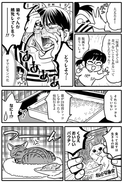 『ブリちゃん日記 猫なら産みたい』より