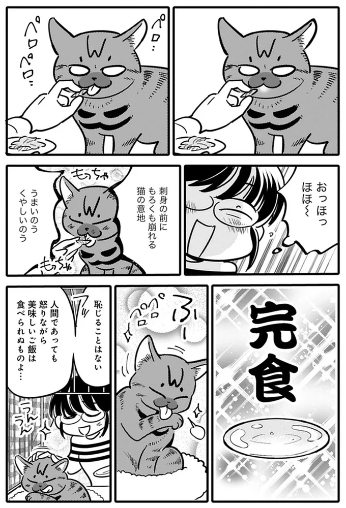 『ブリちゃん日記 猫なら産みたい』より