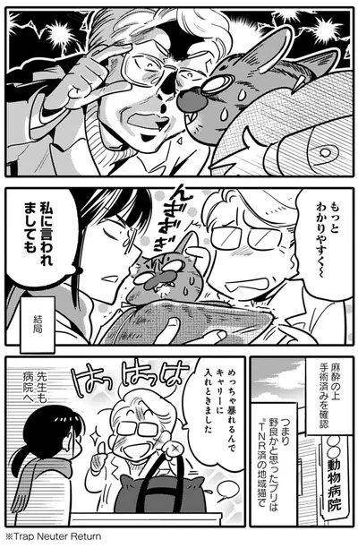 『ブリちゃん日記 猫なら産みたい』より