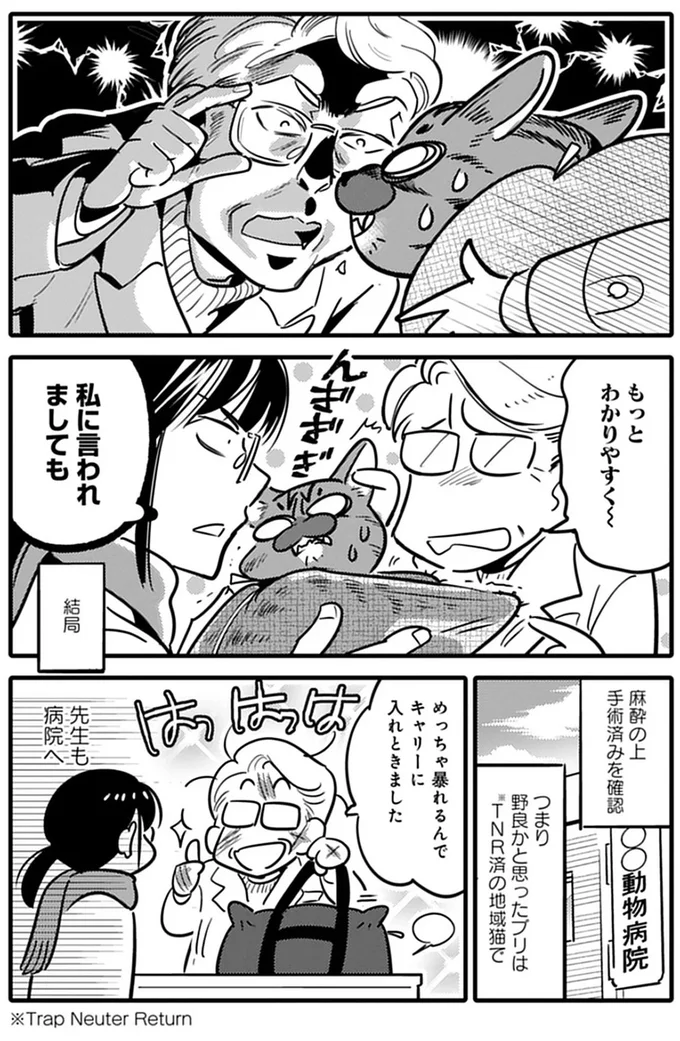 『ブリちゃん日記 猫なら産みたい』より