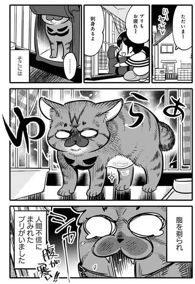 『ブリちゃん日記 猫なら産みたい』より