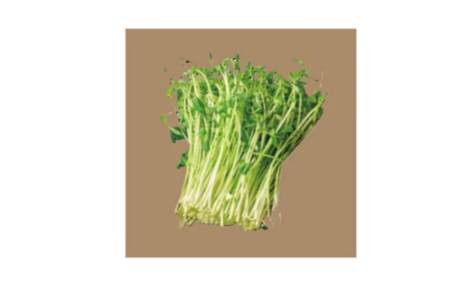 一気蒸しごはんにおすすめ食材①豆苗