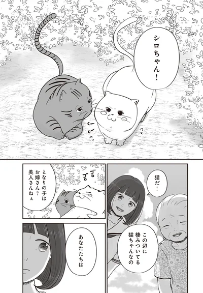 『ずっと一緒にいられたら』より