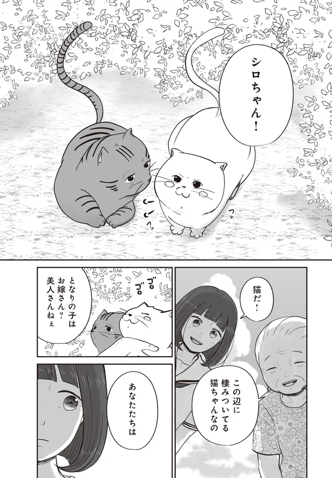 『ずっと一緒にいられたら』より