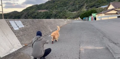 散歩道をゴミ拾いするホットくんと飼い主さん▶元気に遊ぶ一面も！（⇒次へ）