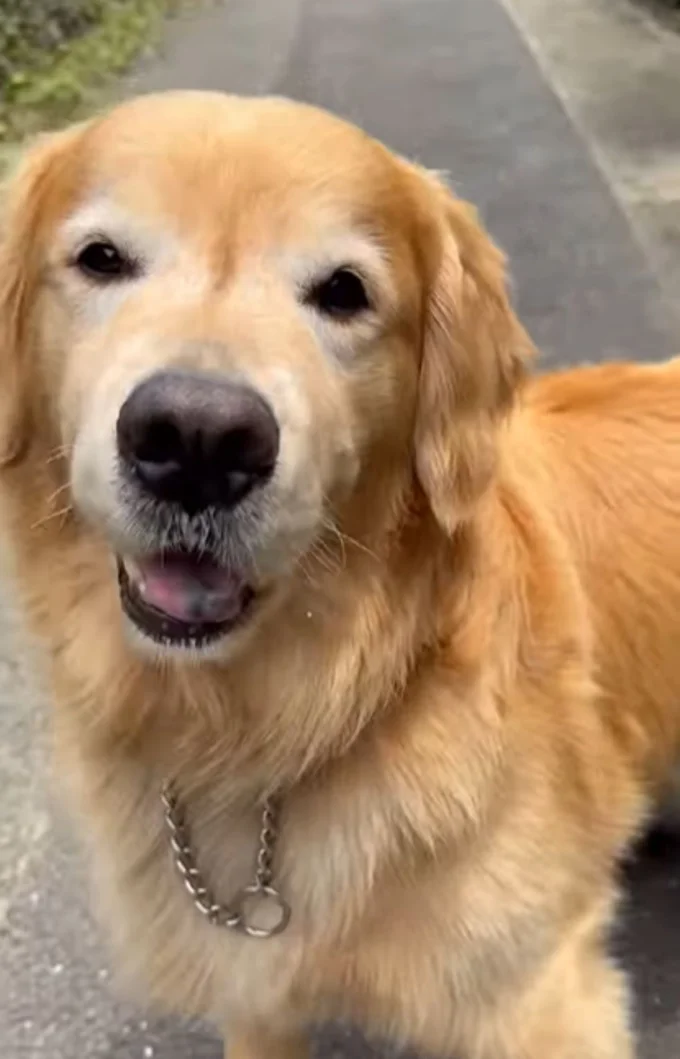 「水筒もってきて」と言われ、嬉しそうな表情！▶ちゃんと持ってこれる！？（⇒次へ）