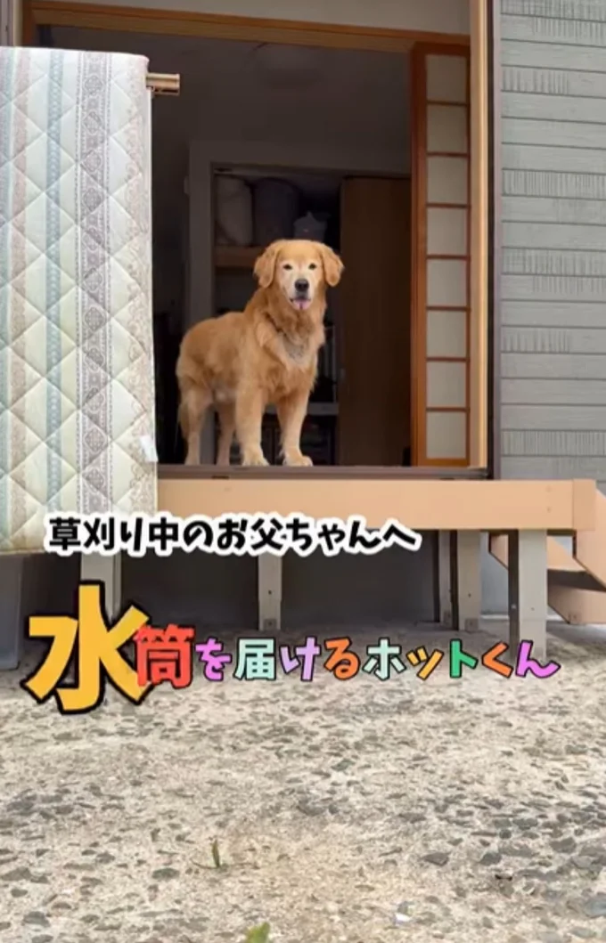 お見送りするホットくん（⇒次へ）