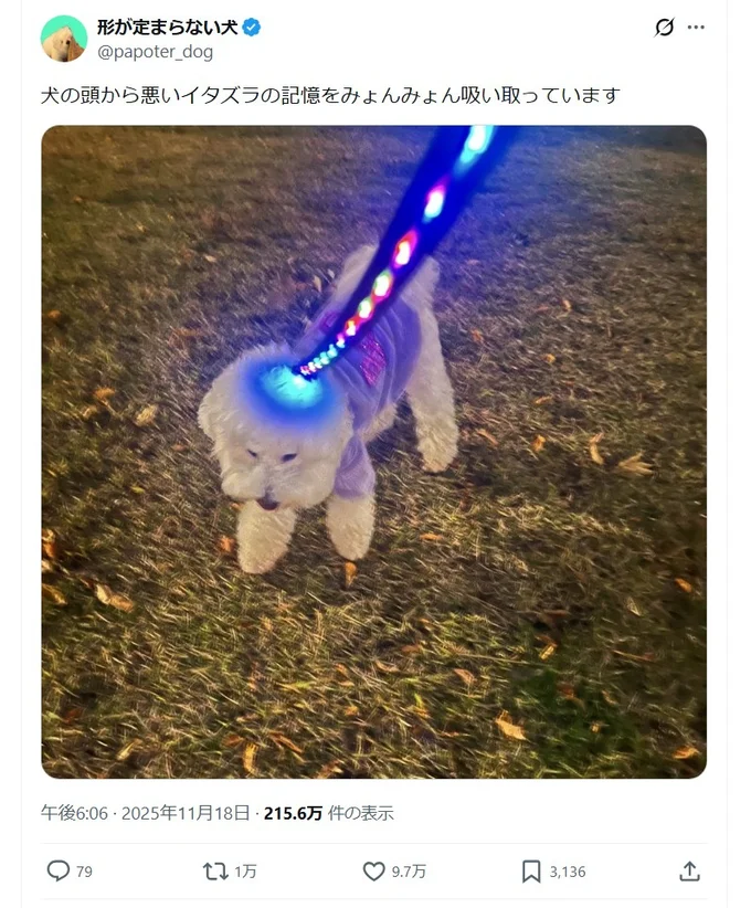 悪いイタズラの記憶をみょんみょん吸い取っちゃう！▶青い光とカラフルな光の球が（⇒次へ）