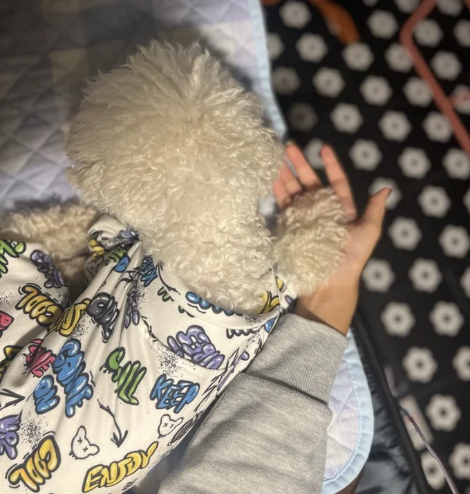 人間の右手を封じながら寝ちゃう自由さ（笑）▶でもキャラクターのようなふわふわ感が（⇒次へ）