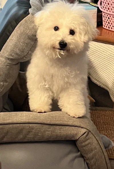 やっぱりかわいい！！！▶ときにはこんなイタズラも（⇒次へ）