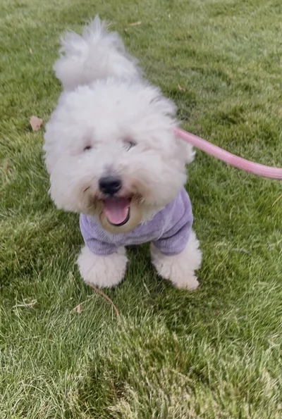 毎日笑顔！めちゃくちゃ分かりやすく笑ってますね！（笑）▶でもときには（⇒次へ）