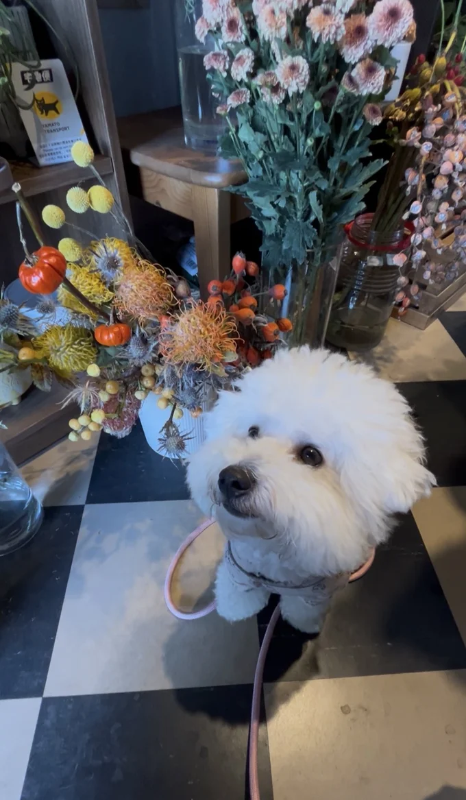 初めて入ったお花屋さんにも興味津々！▶でも、早起きしたのに公園に誰もいなかったときは（⇒次へ）