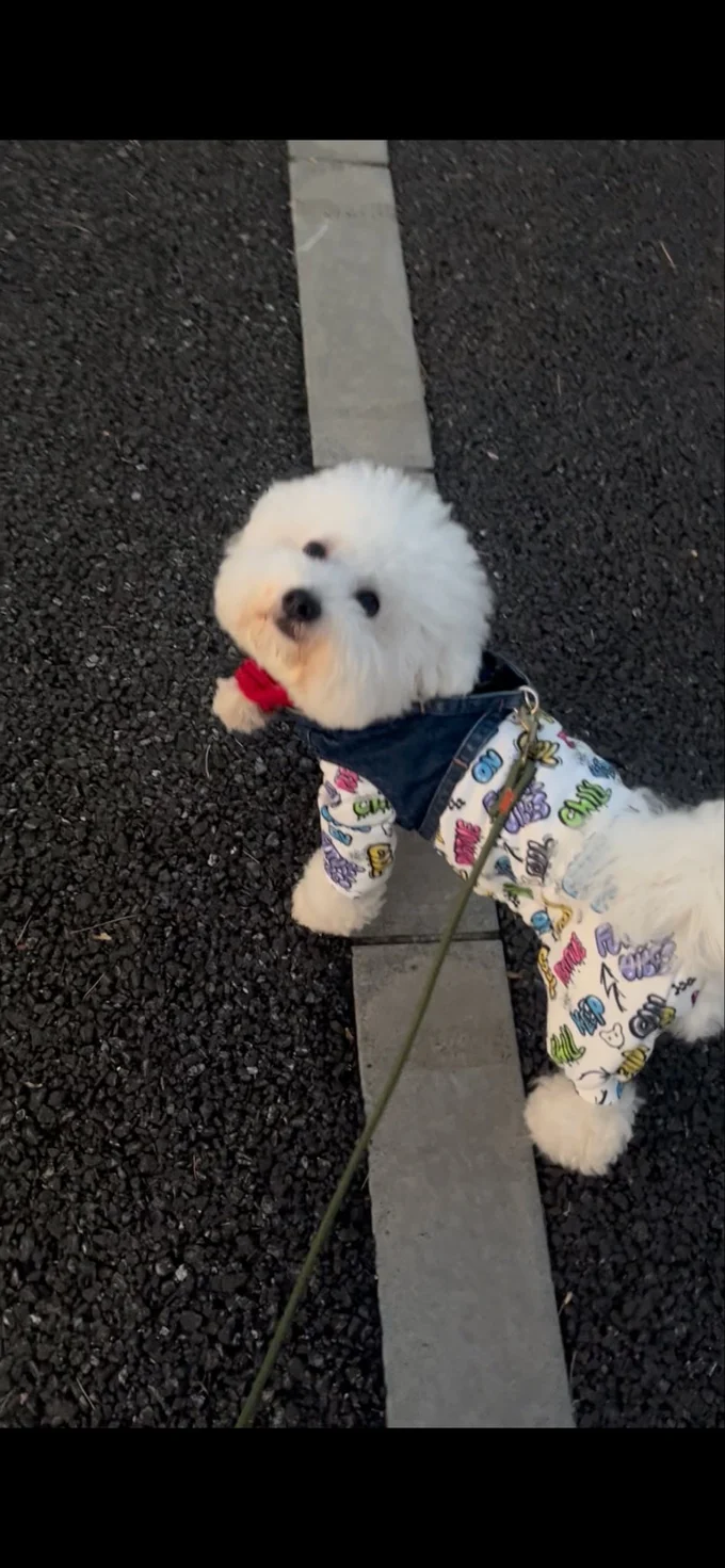 「話違うやんけ」と飼い主さんに目で訴えてきます。遊びたかったんですね！▶寝るときは（⇒次へ）